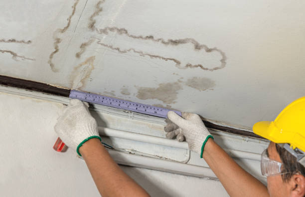 Reliable Burst Pipe Cleanup contractor in Lafayette, MN by Water Damage Irwin